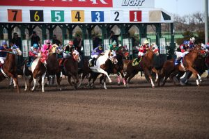 Professional Horse Racing Betting India Login: Step-by-Step Guide for India (2026)